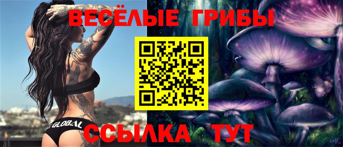 Галлюциногенные грибы мухоморы  Вход с VPN  наркотики  Новотроицк 